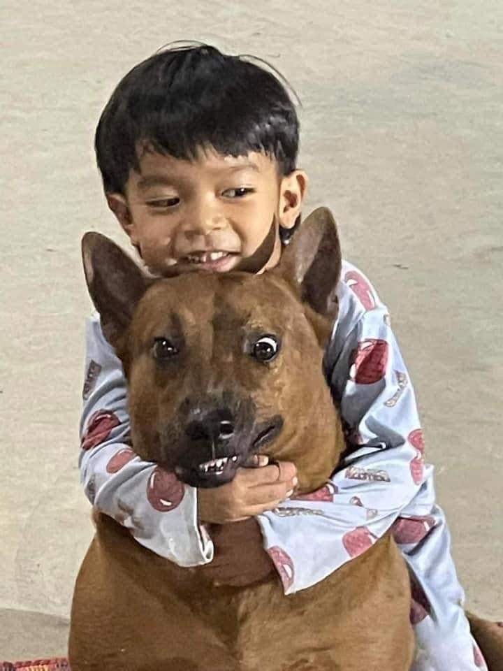 image of pet